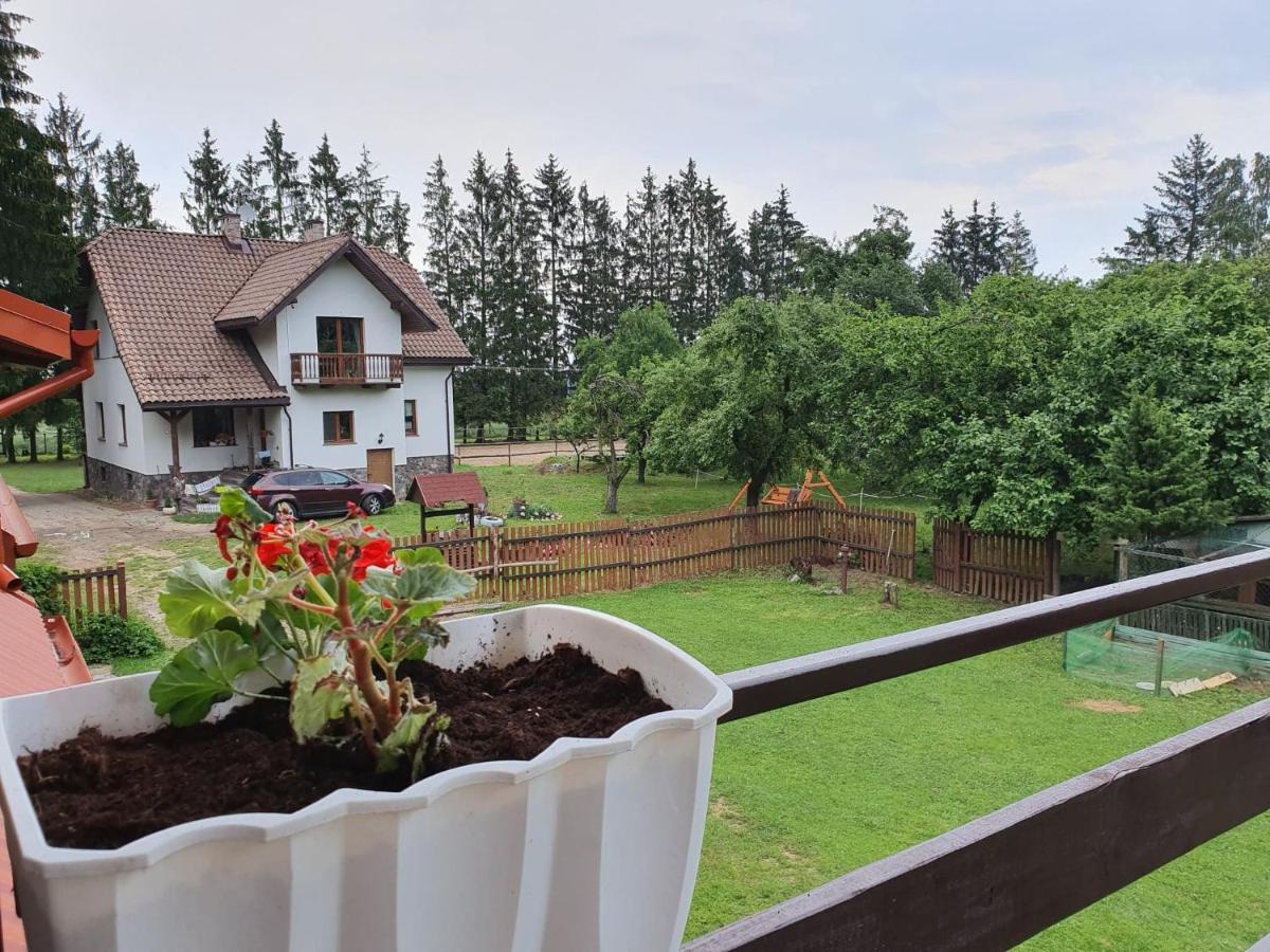 Kurnik Polski Agroturystyka Tykocin Kültér fotó