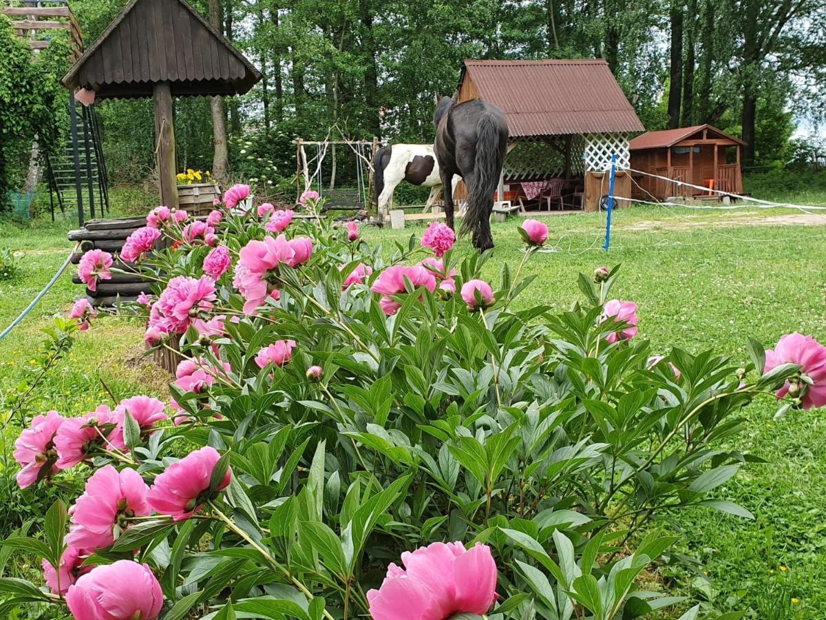 Kurnik Polski Agroturystyka Tykocin Kültér fotó