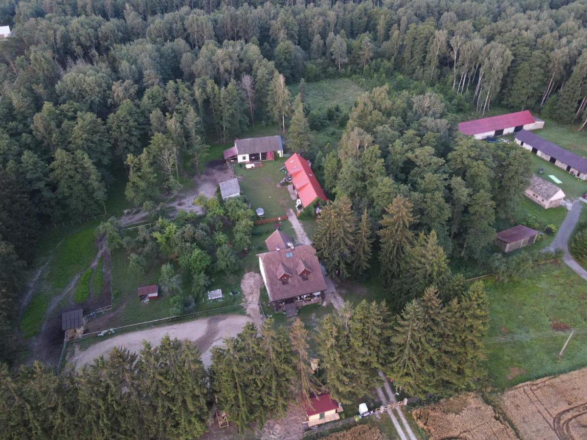 Kurnik Polski Agroturystyka Tykocin Kültér fotó