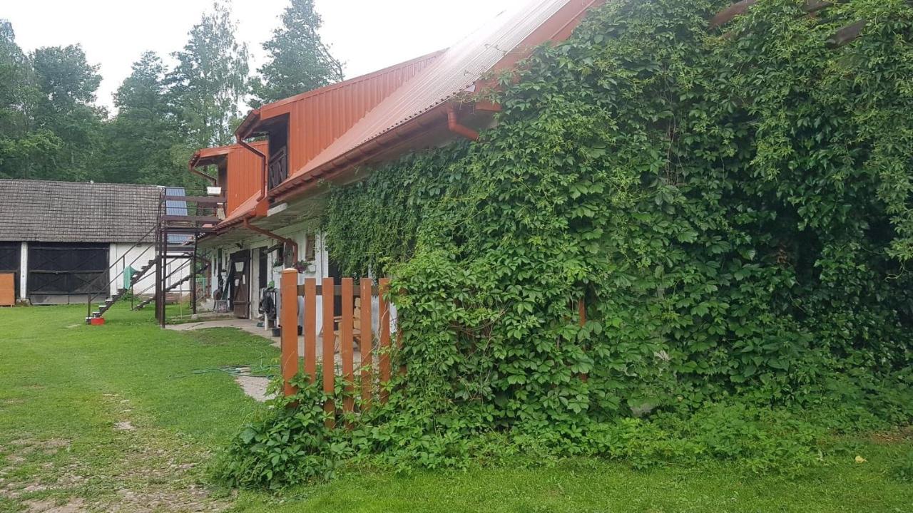 Kurnik Polski Agroturystyka Tykocin Kültér fotó
