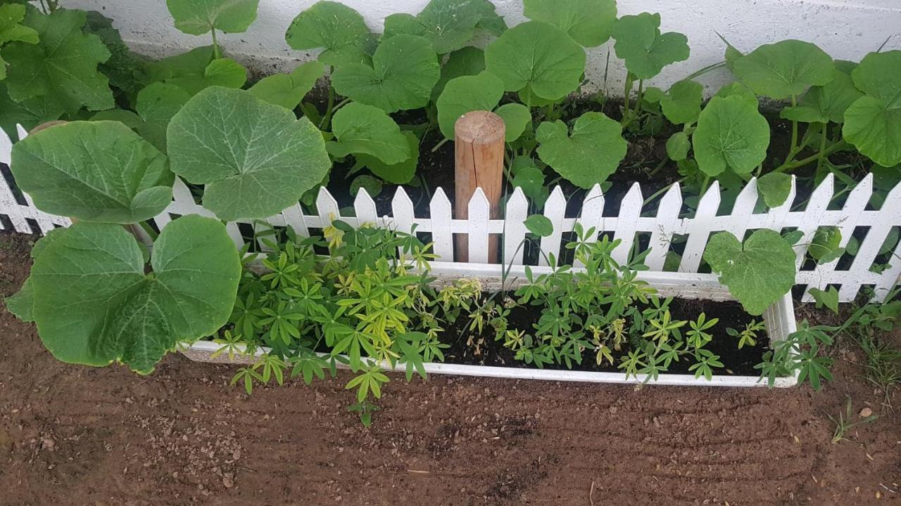 Kurnik Polski Agroturystyka Tykocin Kültér fotó