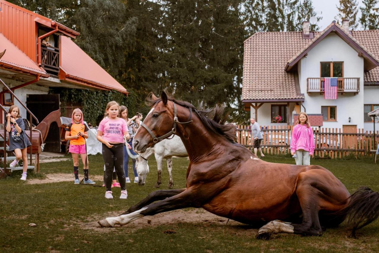 Kurnik Polski Agroturystyka Tykocin Kültér fotó