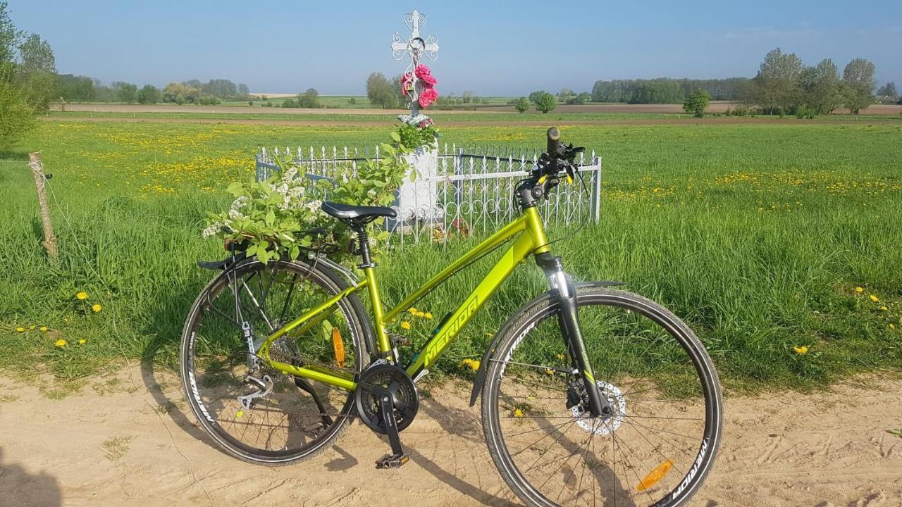 Kurnik Polski Agroturystyka Tykocin Kültér fotó