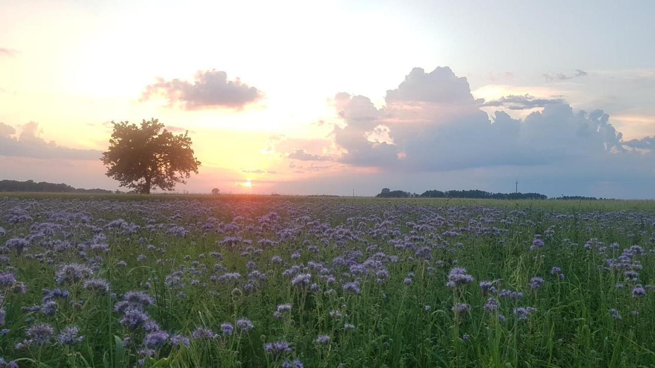 Kurnik Polski Agroturystyka Tykocin Kültér fotó