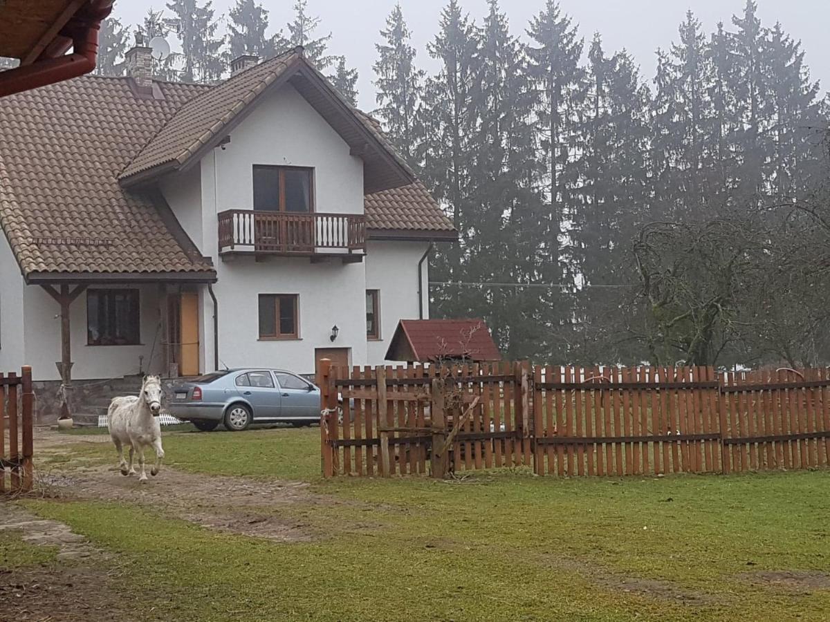 Kurnik Polski Agroturystyka Tykocin Kültér fotó