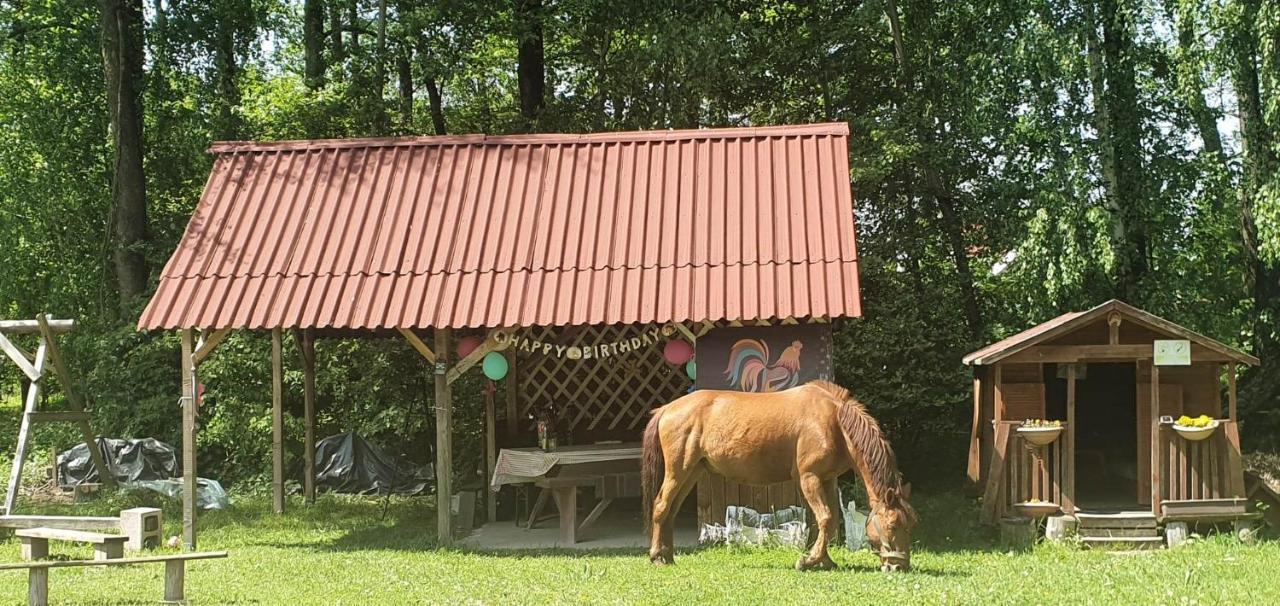 Kurnik Polski Agroturystyka Tykocin Kültér fotó